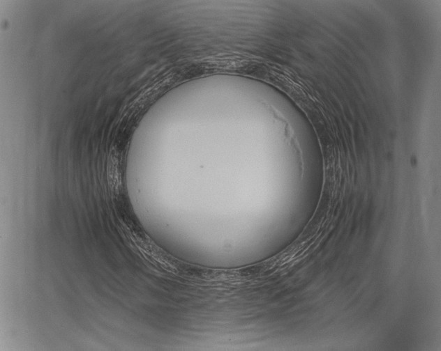 X0000067931058200604131101