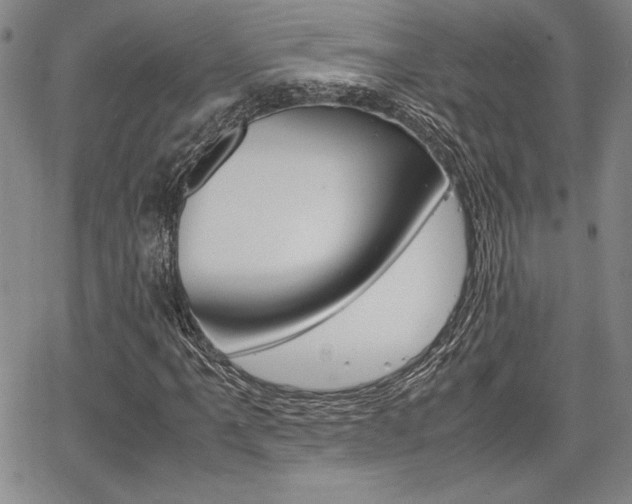 X0000067931061200604131100