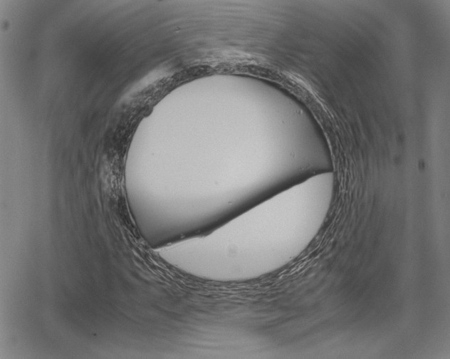 X0000067931063200604131100