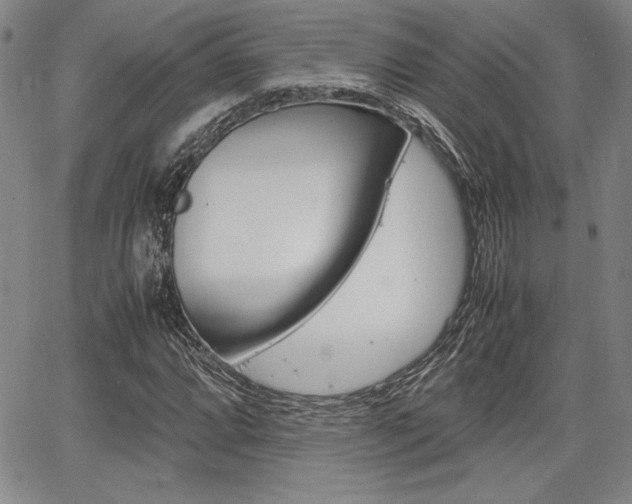 X0000067931064200604131100