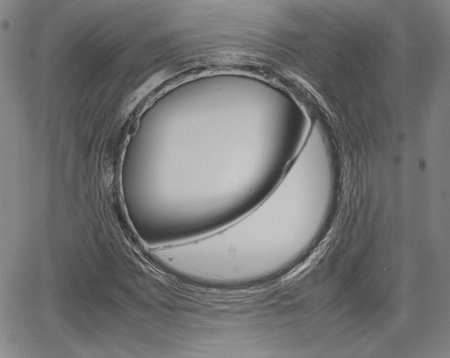 X0000067931065200604131100