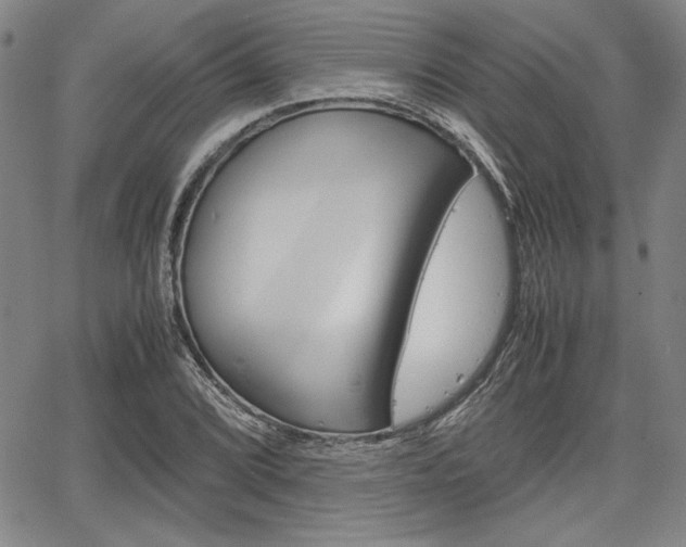 X0000067931072200604131100