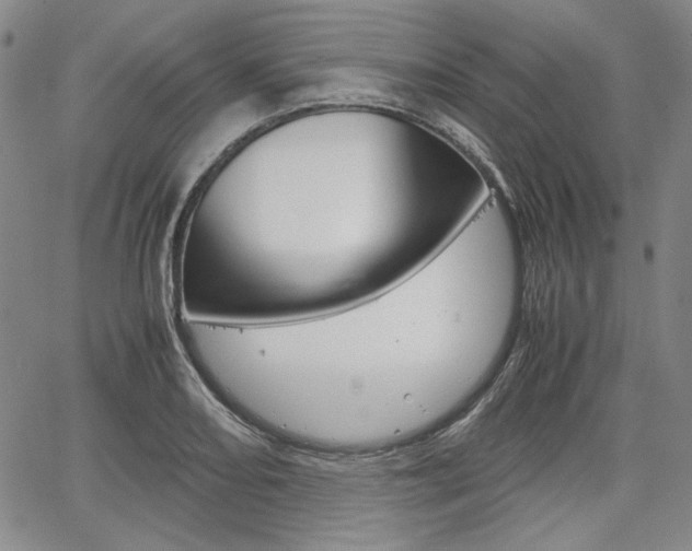 X0000067931082200604131100