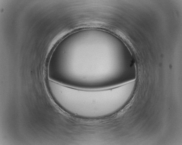 X0000067931085200604131100