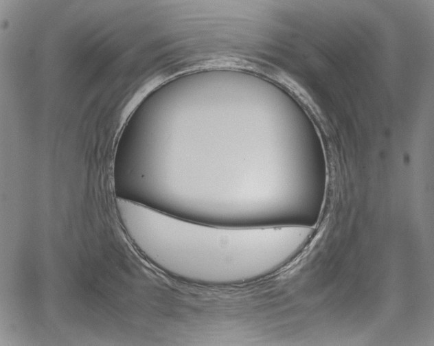 X0000067931097200604131100