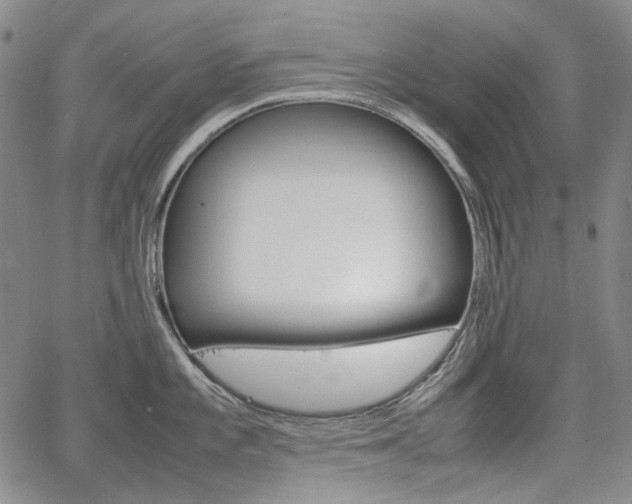 X0000067931101200604131100