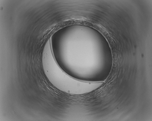 X0000067931110200604131059