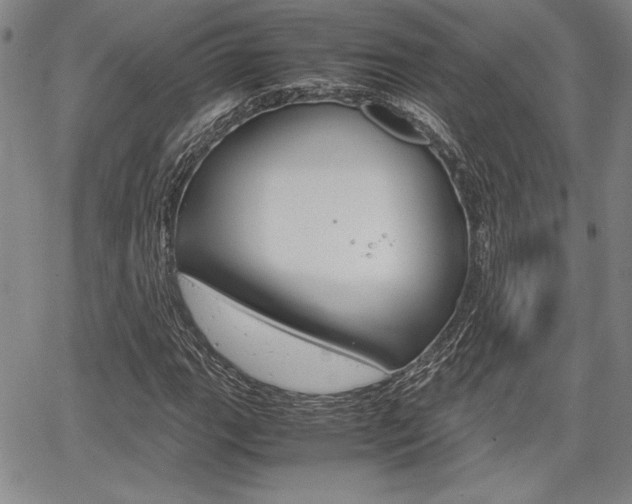 X0000067931111200604131059