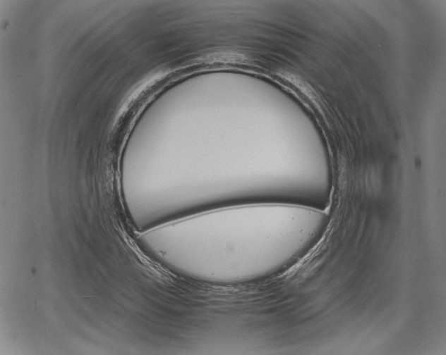 X0000067931115200604131059