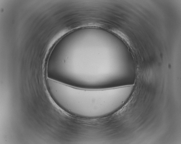 X0000067931135200604131100