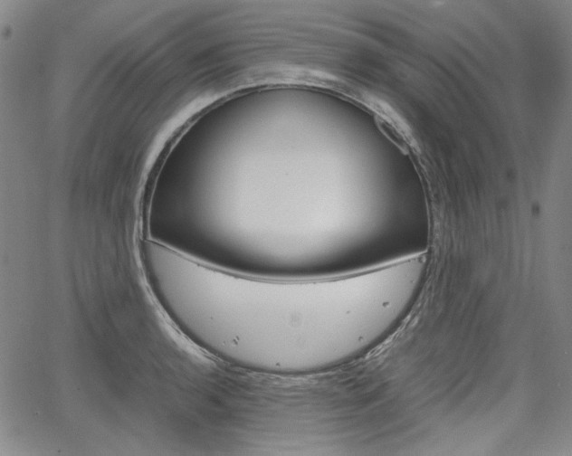 X0000067931136200604131100