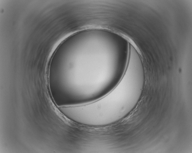 X0000067931148200604131100