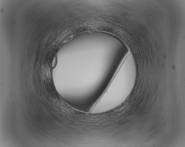 X0000067931155200604131059