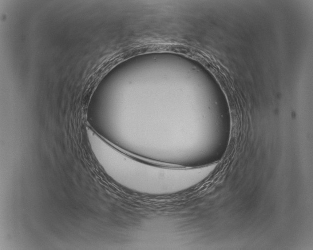 X0000067931157200604131059