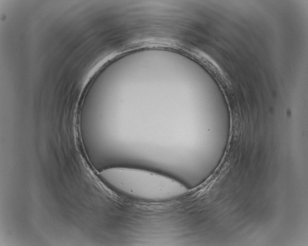 X0000067931182200604131059