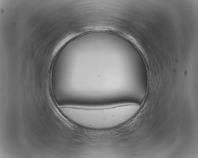 X0000067931187200604131058