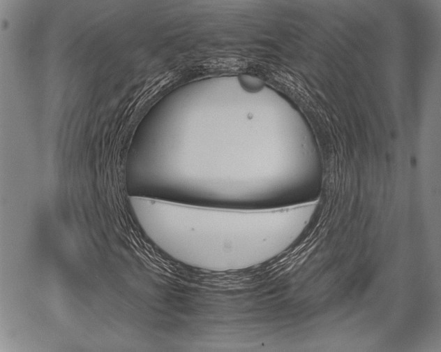 X0000067931201200604131057