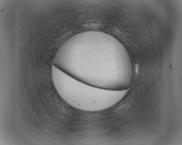 X0000067931203200604131057