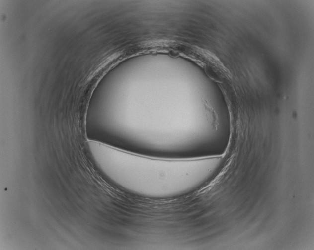 X0000067931209200604131058