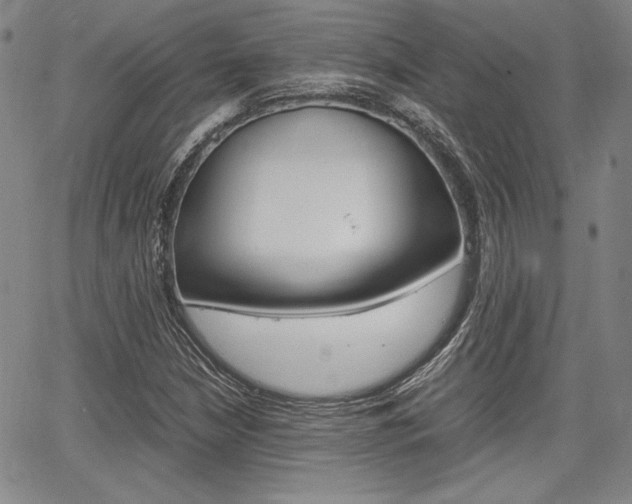 X0000067931210200604131058