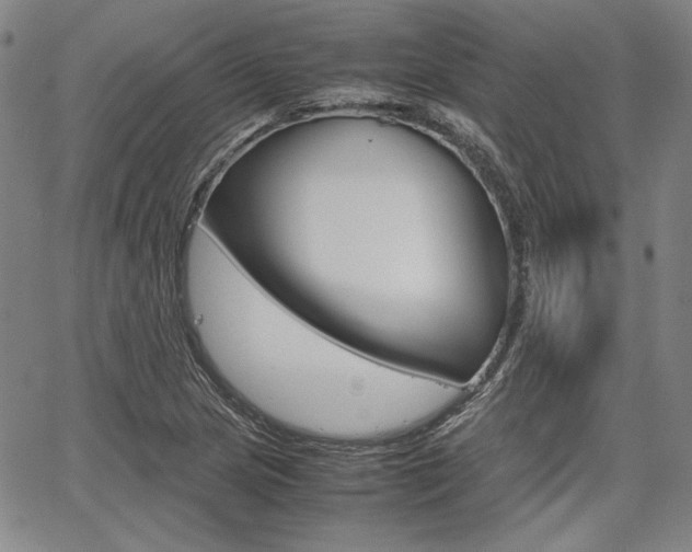 X0000067931217200604131058