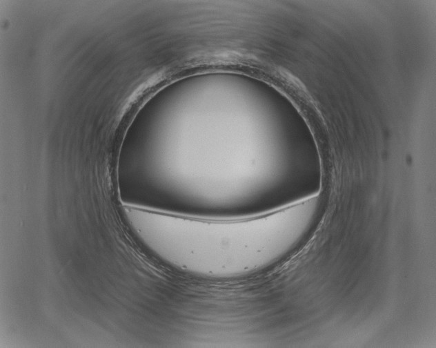 X0000067931218200604131058