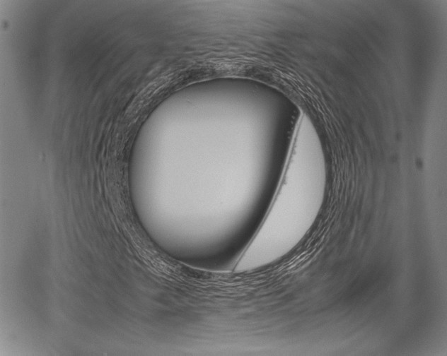 X0000067931249200604131057