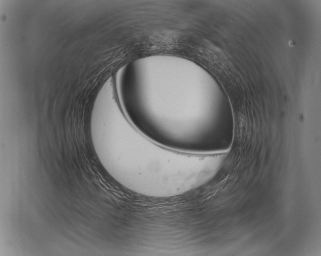 X0000067931250200604131057