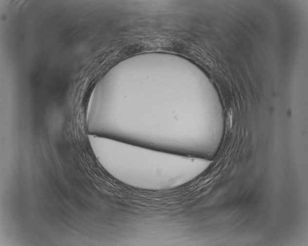 X0000067931251200604131057