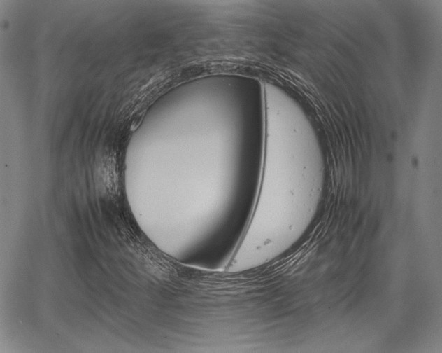 X0000067931252200604131057