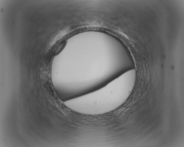 X0000067931255200604131057