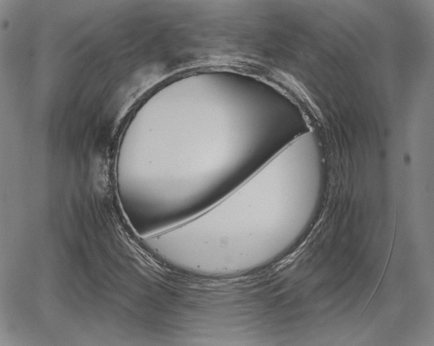X0000067931260200604131057