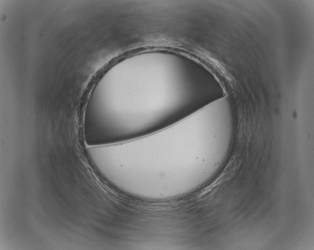 X0000067931264200604131057