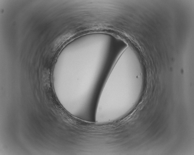 X0000067931265200604131057