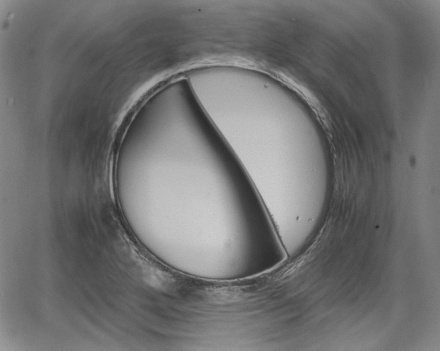 X0000067931272200604131057