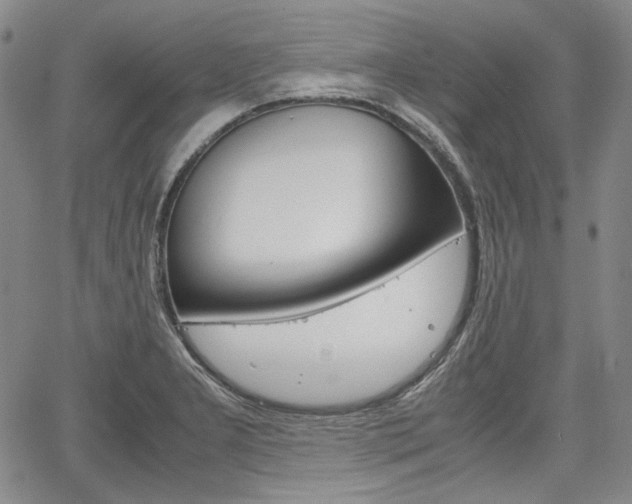 X0000067931277200604131057
