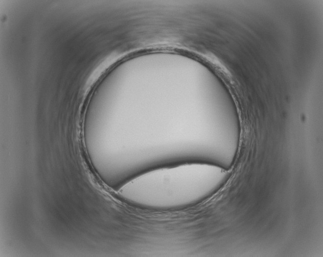 X0000067931279200604131057