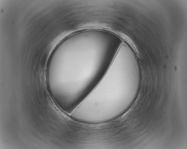 X0000067931288200604131057