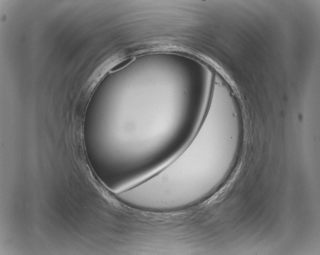 X0000067931289200604131057