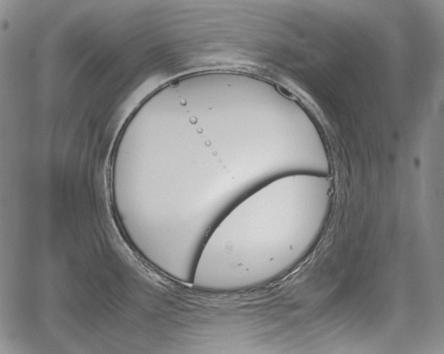 X0000067931291200604131057