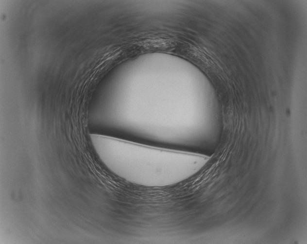 X0000067931297200604131056