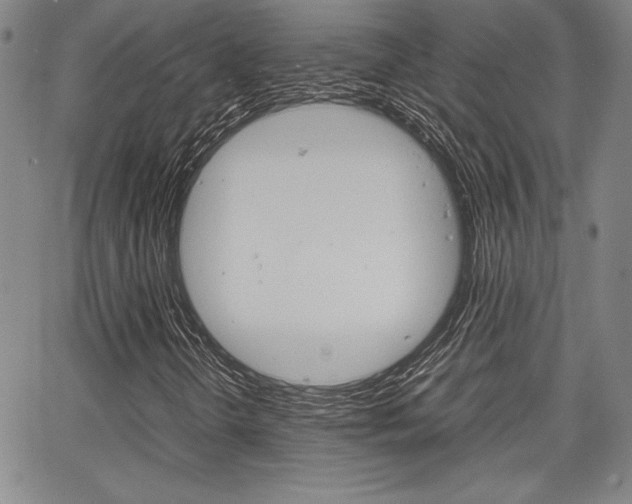 X0000067931298200604131056