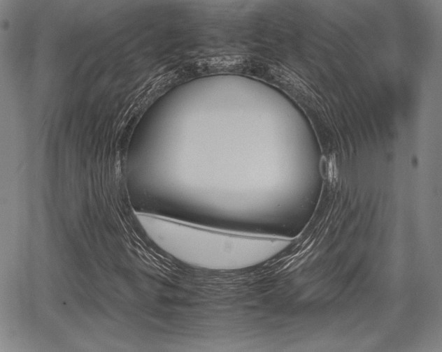 X0000067931299200604131056