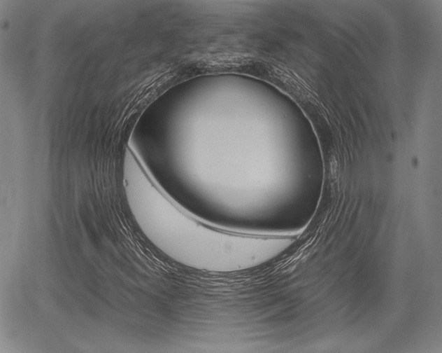 X0000067931300200604131056