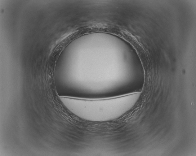 X0000067931303200604131056