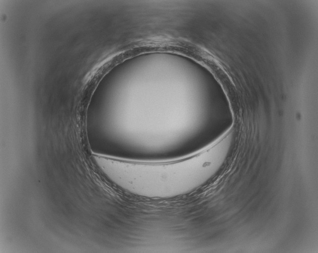 X0000067931304200604131056