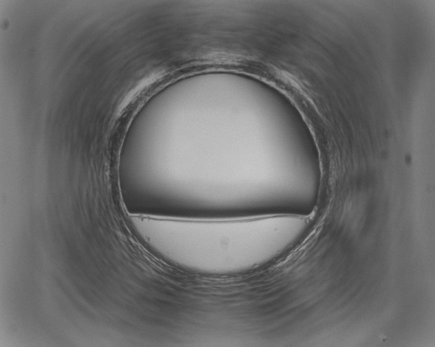 X0000067931307200604131056
