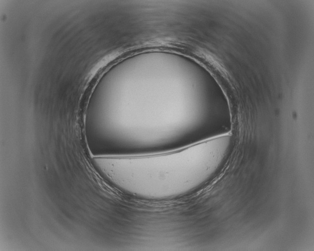 X0000067931308200604131056