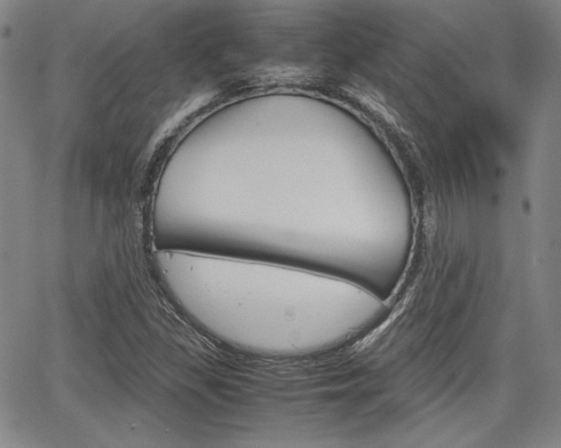 X0000067931309200604131056