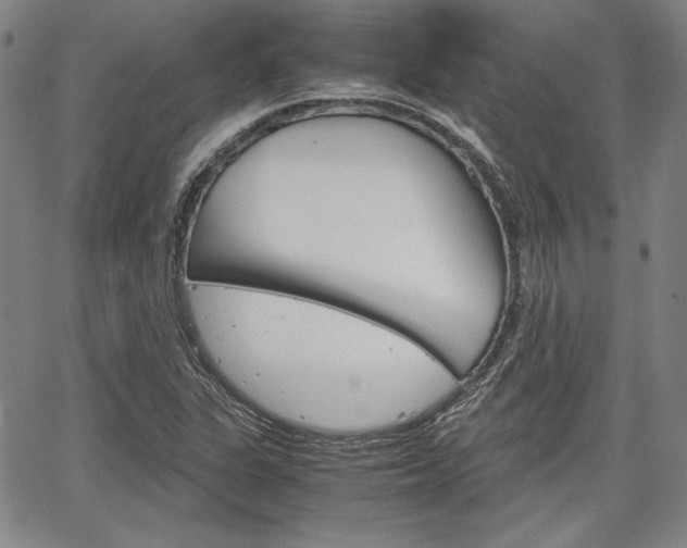 X0000067931311200604131056